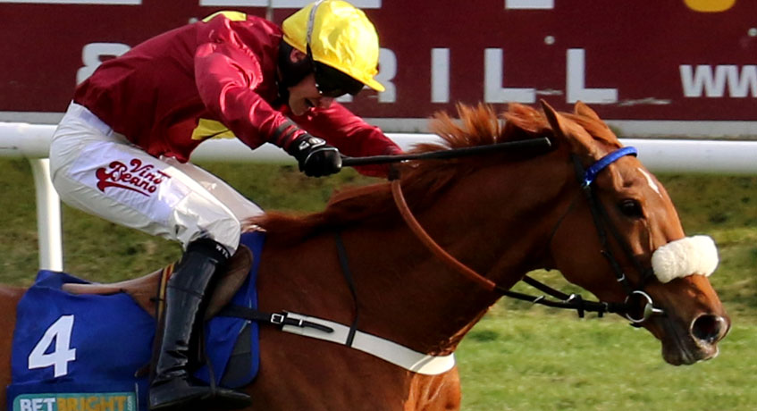 Trend/Profile Horses - 18th March 2017