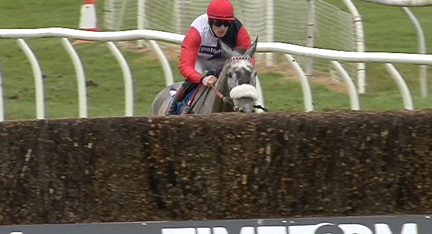 Trend/Profile Horses 8th April 2017